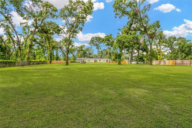 4723 Bloomingdale Ave, Valrico, FL 33596 - view of yard