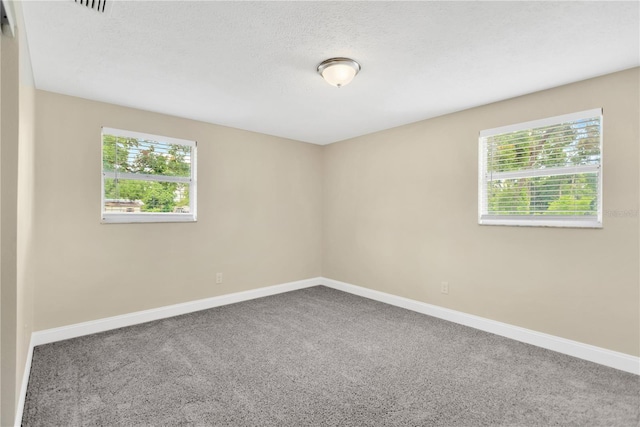 4723 Bloomingdale Ave, Valrico, FL 33596 - carpeted empty room featuring plenty of natural light and a textured ceiling