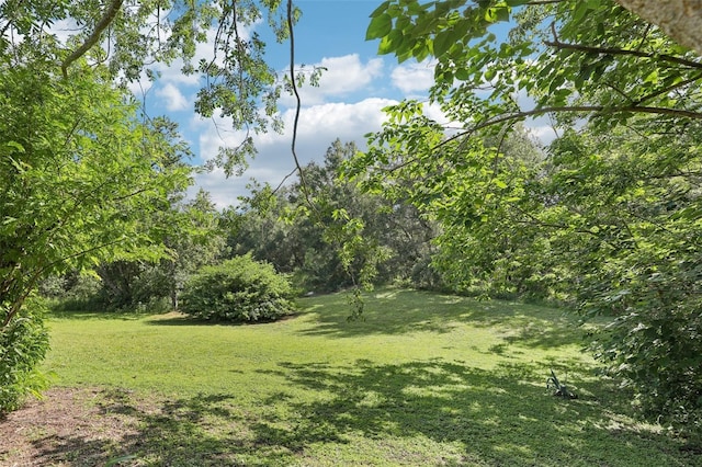 923 April Hills Blvd, Lady Lake, FL 32159 - view of grassy yard