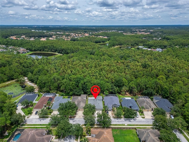 19213 Pelican Ridge Ln, Tampa, FL 33647 - photo 6
