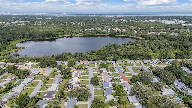 2030 High Ridge Dr, Clearwater, FL 33763 - photo 33