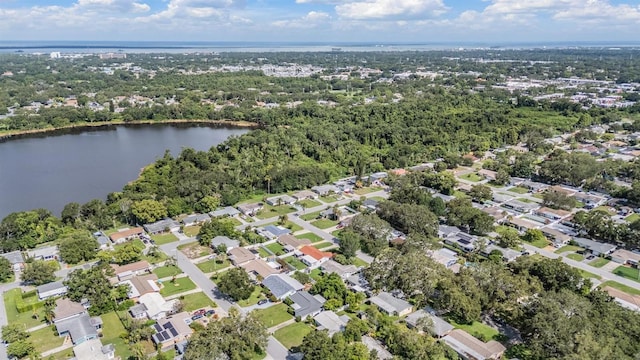2030 High Ridge Dr, Clearwater, FL 33763 - photo 34