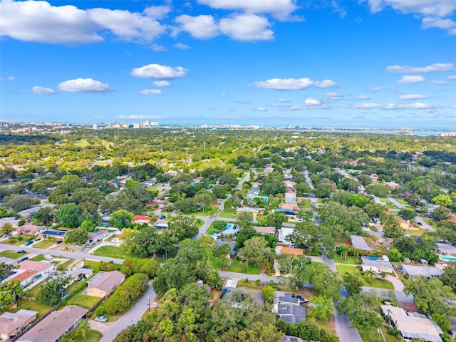 1321 Lynn Ave, Clearwater, FL 33755 - photo 33