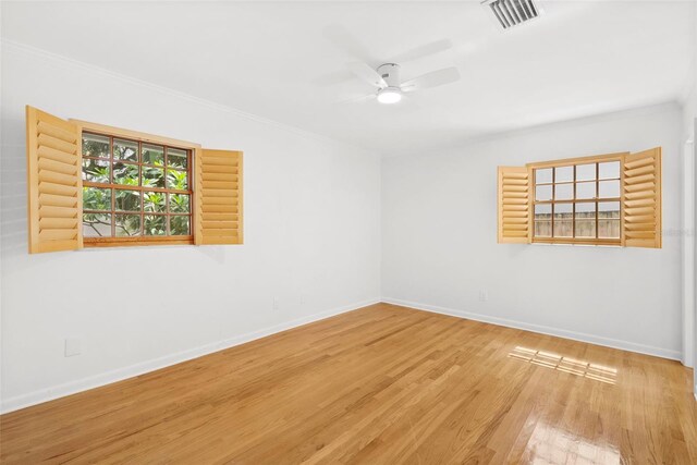 3125 W Waverly Ave, Tampa, FL 33629 - photo 22