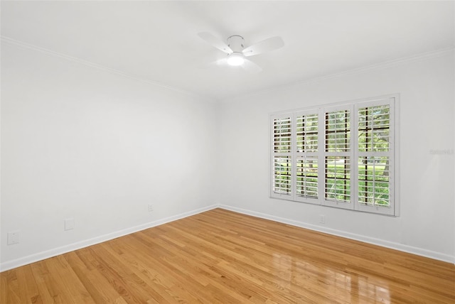 3125 W Waverly Ave, Tampa, FL 33629 - photo 29