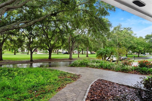 3125 W Waverly Ave, Tampa, FL 33629 - photo 36