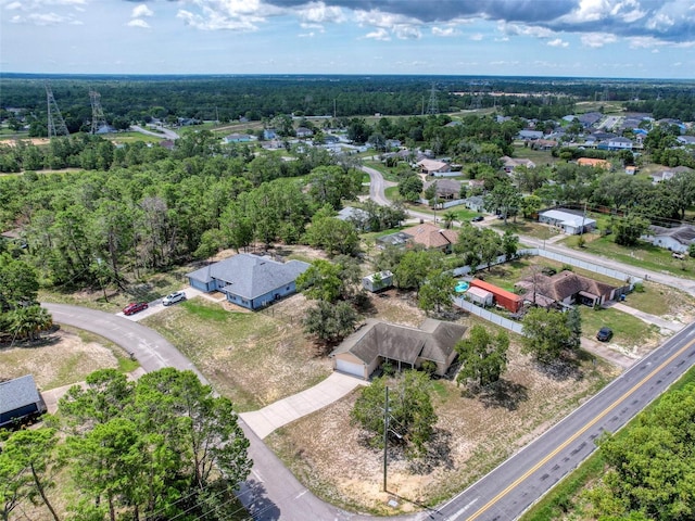 13148 Brechner St, Spring Hill, FL 34609 - photo 56