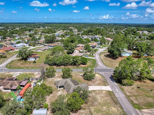 13148 Brechner St, Spring Hill, FL 34609 - photo 59