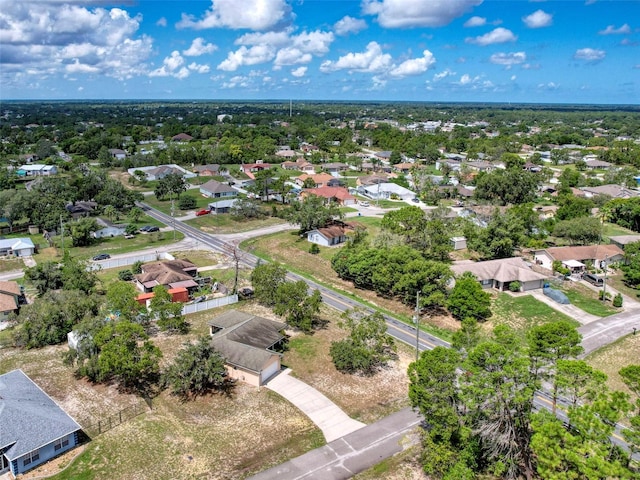 13148 Brechner St, Spring Hill, FL 34609 - photo 60