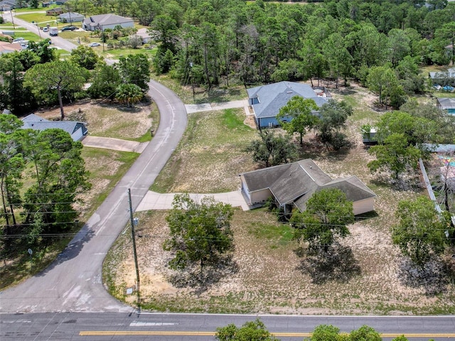 13148 Brechner St, Spring Hill, FL 34609 - photo 63