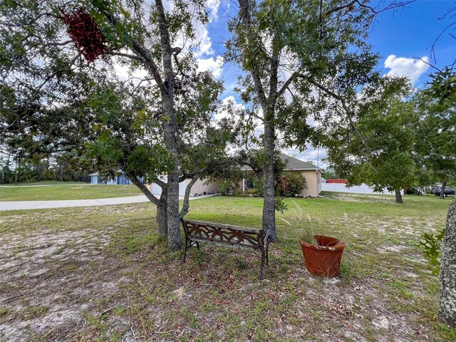 13148 Brechner St, Spring Hill, FL 34609 - photo 65