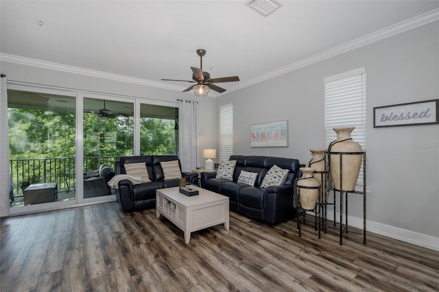 837 Callista Cay Loop, Tarpon Springs, FL 34689 - photo 15