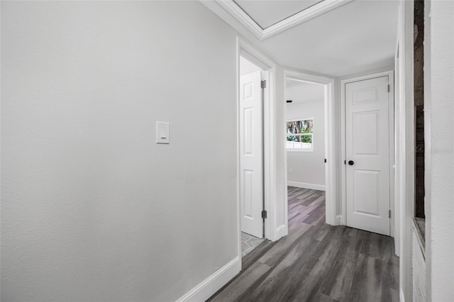 3430 72nd St N, Saint Petersburg, FL 33710 - photo 23