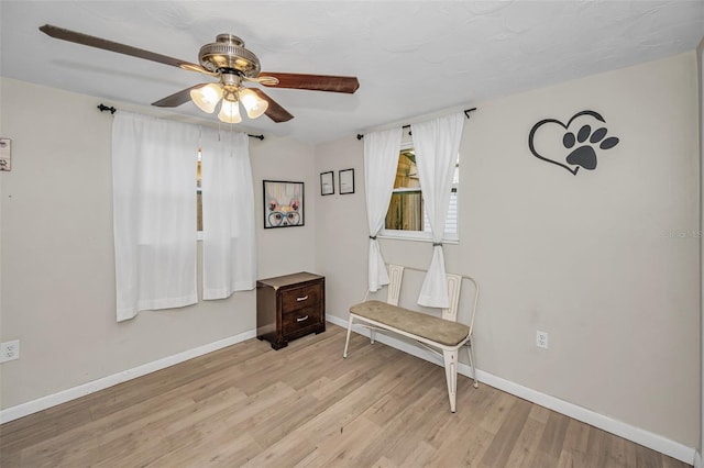 6053 11th Ave, New Port Richey, FL 34653 - living area featuring a ceiling fan and light wood-style flooring