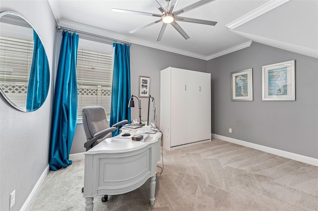 3519 W Palmira Ave, Tampa, FL 33629 - photo 19