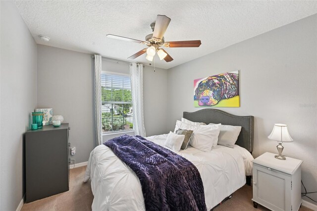 806 Battersea Dr, Saint Augustine, FL 32095 - photo 32