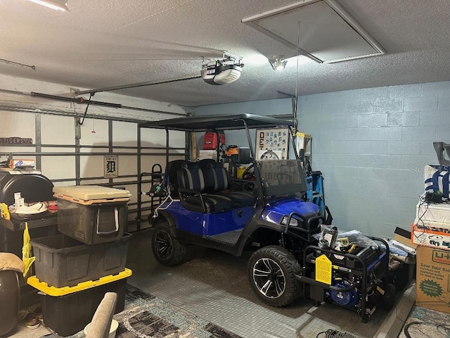 10920 Sailbrooke Dr, Riverview, FL 33579 - garage featuring a garage door opener and concrete block wall