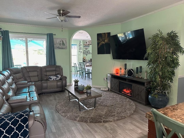 10920 Sailbrooke Dr, Riverview, FL 33579 - living area with arched walkways, wood finished floors, ceiling fan, ornamental molding, and a textured ceiling