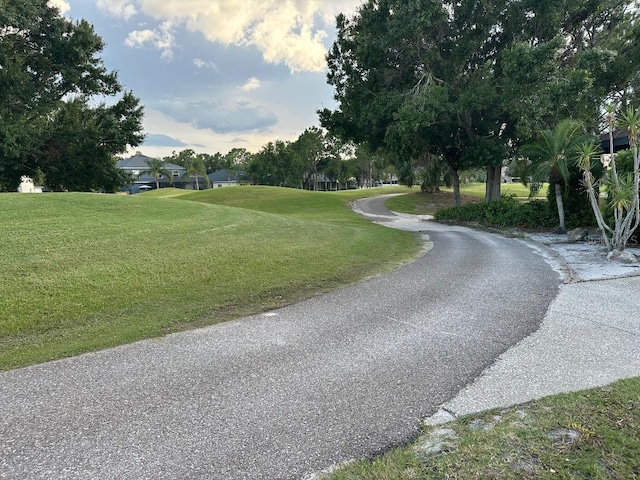 10920 Sailbrooke Dr, Riverview, FL 33579 - view of asphalt road