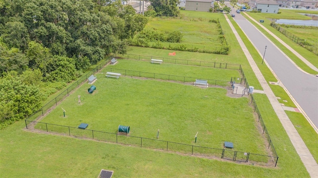 4954 Wild Senna Blvd, Tampa, FL 33619 - bird's eye view