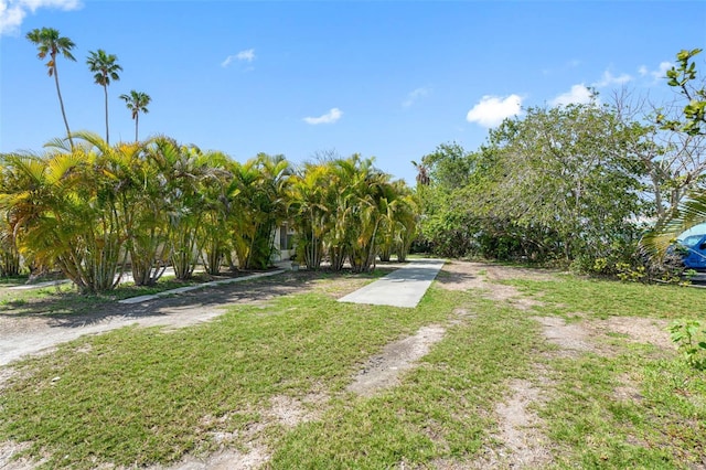 14200 E Parsley Dr, Madeira Beach, FL 33708 - photo 17