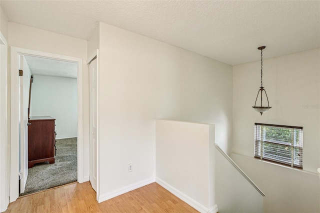 808 Franklin Cir, Palm Harbor, FL 34683 - hallway featuring an upstairs landing and light wood-style floors