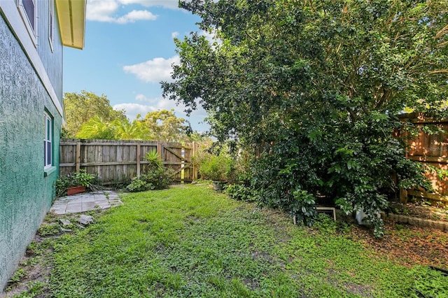 808 Franklin Cir, Palm Harbor, FL 34683 - view of fenced backyard