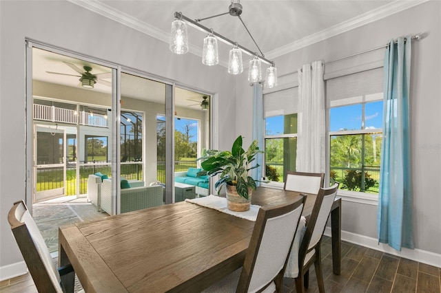 719 Cajeput Loop, Tarpon Springs, FL 34689 - photo 29