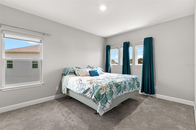 719 Cajeput Loop, Tarpon Springs, FL 34689 - photo 63