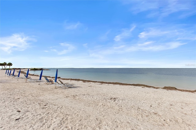 719 Cajeput Loop, Tarpon Springs, FL 34689 - photo 81