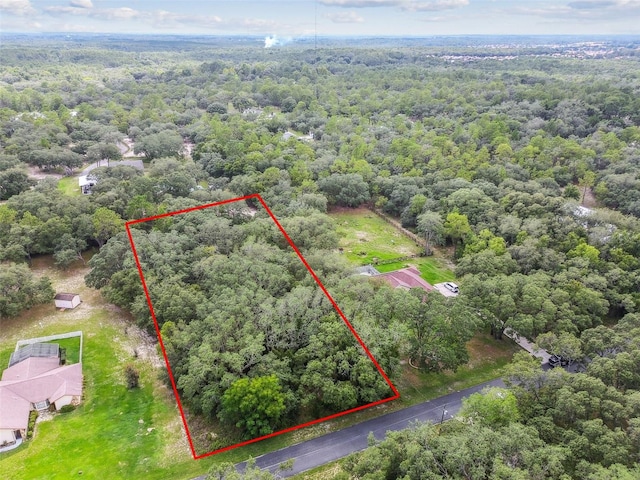 292 N Indianapolis Ave, Hernando, FL 34442 - photo 1