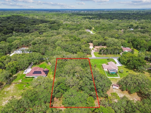 292 N Indianapolis Ave, Hernando, FL 34442 - photo 2