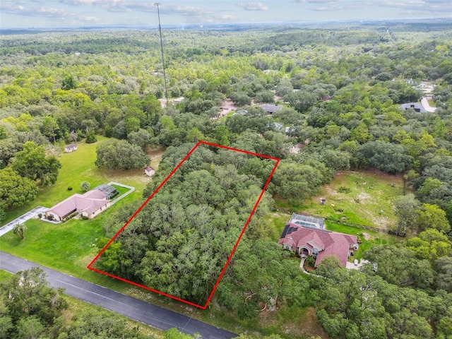 292 N Indianapolis Ave, Hernando, FL 34442 - photo 3