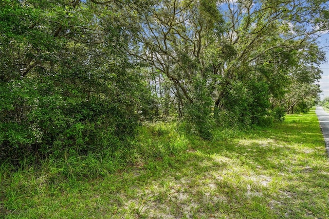 292 N Indianapolis Ave, Hernando, FL 34442 - photo 5