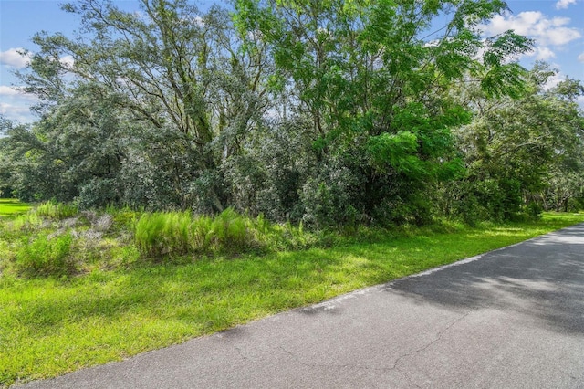 292 N Indianapolis Ave, Hernando, FL 34442 - photo 6