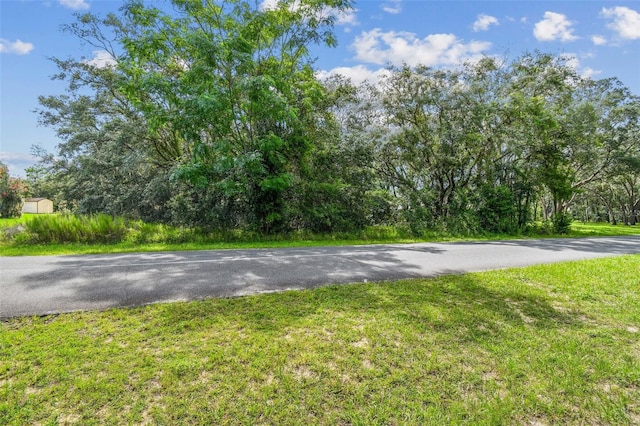 292 N Indianapolis Ave, Hernando, FL 34442 - photo 7