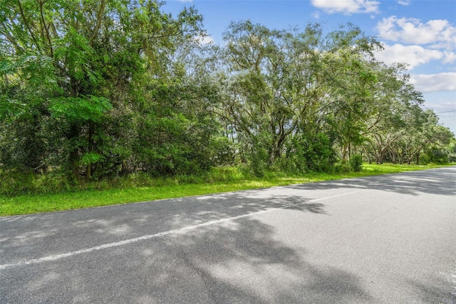 292 N Indianapolis Ave, Hernando, FL 34442 - photo 8
