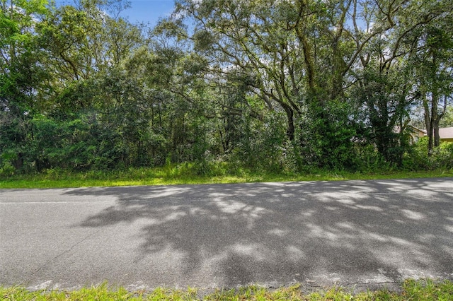 292 N Indianapolis Ave, Hernando, FL 34442 - photo 9