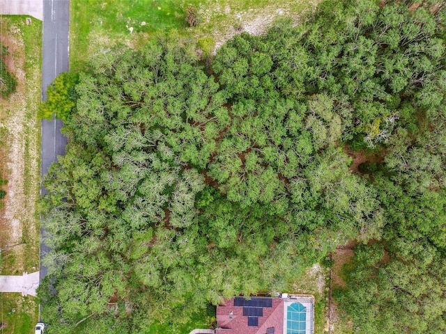 292 N Indianapolis Ave, Hernando, FL 34442 - photo 23