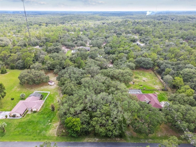 292 N Indianapolis Ave, Hernando, FL 34442 - photo 25