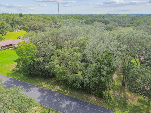 292 N Indianapolis Ave, Hernando, FL 34442 - photo 30