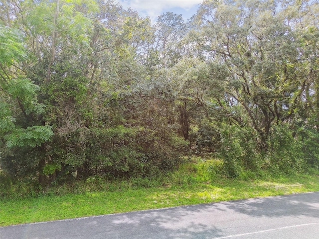 292 N Indianapolis Ave, Hernando, FL 34442 - photo 33