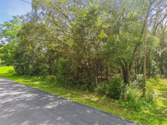 292 N Indianapolis Ave, Hernando, FL 34442 - photo 35