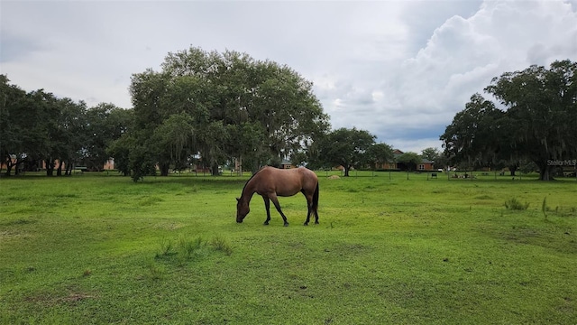 171 Appaloosa Trl, River Ranch, FL 33867 - photo 10