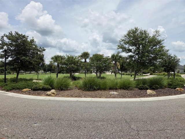 13332 Wildflower Meadow Dr, Riverview, FL 33579 - photo 20
