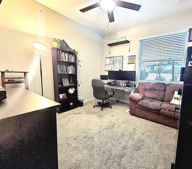 13332 Wildflower Meadow Dr, Riverview, FL 33579 - photo 14
