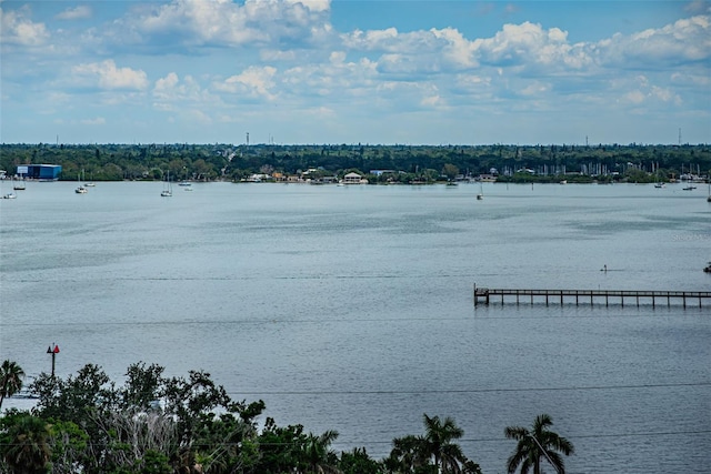 4900 Brittany Dr S Unit 1413, Saint Petersburg, FL 33715 - photo 49