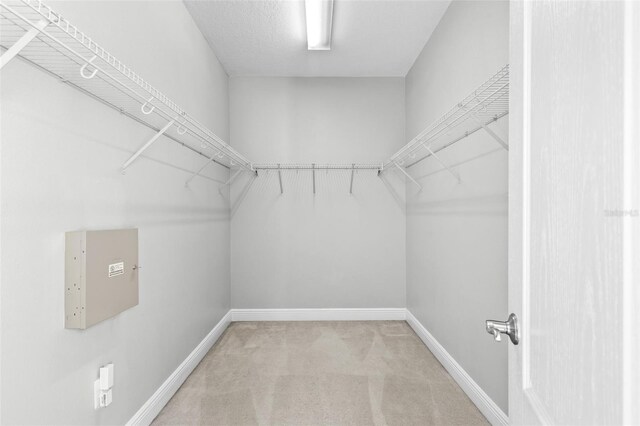 7608 S W Shore Blvd, Tampa, FL 33616 - photo 29