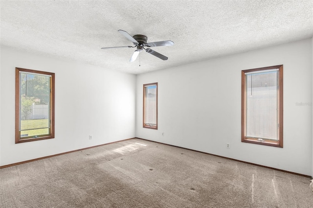 2147 Colonial Blvd W, Palm Harbor, FL 34683 - photo 17