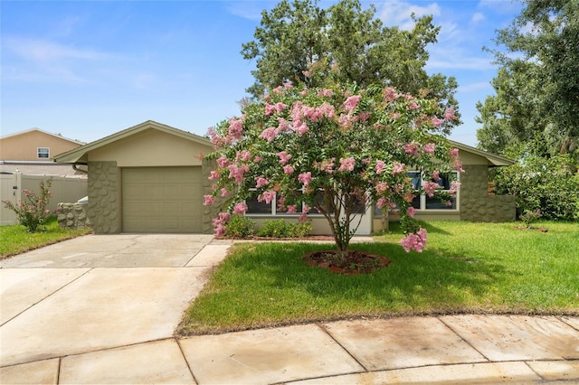 1811 Hibiscus Ct S, Oldsmar, FL 34677 - photo 2
